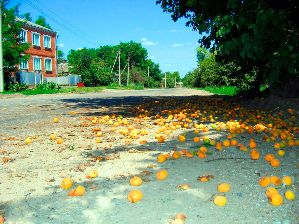 Фото Ленинградского Края