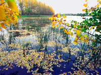 Озеро в Кореновском районе