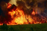 Кубань готовится противостоять лесным пожарам